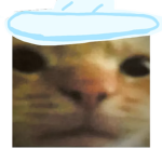 nooby goobers