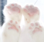 Giveaways:)