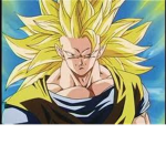 The Super Saiyans Gods