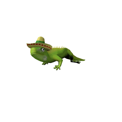 Iguana Shoulder Friend