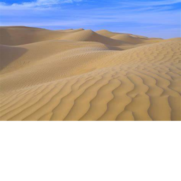 The Desert