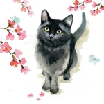 Ciska Kat Fan Group!