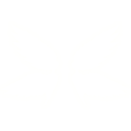 Glowing Neon Emissive Wings Roblox item