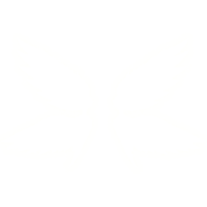 Glowing Neon Emissive Wings