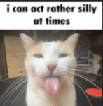 MR,S