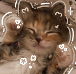 ᗢ. madi's kitties .ᗢ