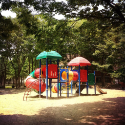 The Park