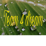 Team_4_Dream Group!