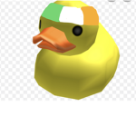 The NEW duck from Ireland group
