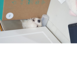우리들의 로블세상