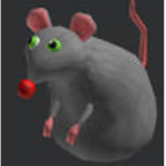 The Kumalala rats