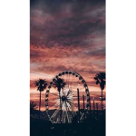 !Aesthetic Unique!