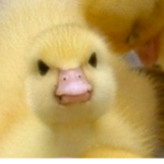 HeLo GUys WeComE tO mY MinEcrAft SErveR