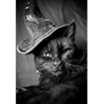 Catiu Witch