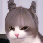 anime cosplay/ropa
