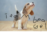 TEAM BEAGLE FOR LIFE