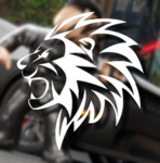 Lions Foundation