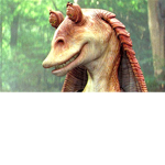 Star Wars Fangroup!!!!!