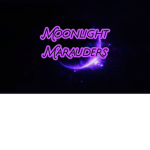 Moonlight Marauders of The Wild West
