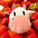 Grape cow seasons group