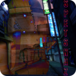 C8: SPETSNAZ