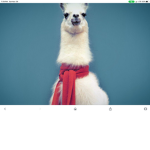 The Llama & Sloth squad