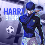 Harry Store