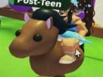 Horseee hangout