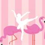 Flamingo Dance Company