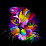 MEAW!!!!!!! gang