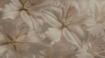 rosalities