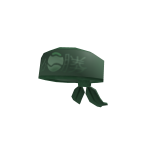 Champion Headband