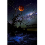 Moon.army