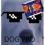 am pros