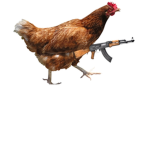 The Irish Chicken’s