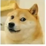 Roblox Is cool and fun i lik roblox