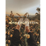 Sunset outfitters
