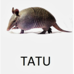 tatusssssssssssssssssss