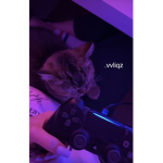 .vvliqz
