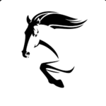 Silverniqht