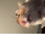 He’s always watching