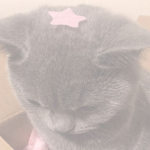 Cute story < 3