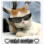 s a h d souls