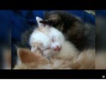 Best buddies #best_friends_forever!