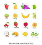 The Fruit Group!!!~