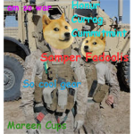 the doge military (the doge #########