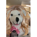 peeterdo