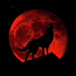 wolf pack and ROBLOX!