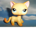 lps break heart