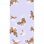 Butterfly Bestiess